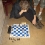 CIMG6986.jpg