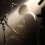 dpp_0213.jpg