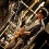 wig-soundcheckimg_1795.jpg